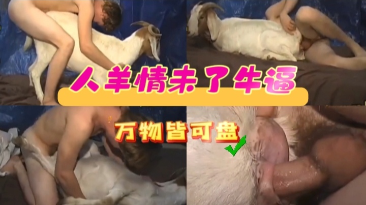 人养情未了，牛逼封面图