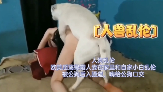 人狗乱伦，欧美淫荡绿帽人妻在家里和自家小白乱伦，被公狗后入骚逼，还给公狗口交封面图