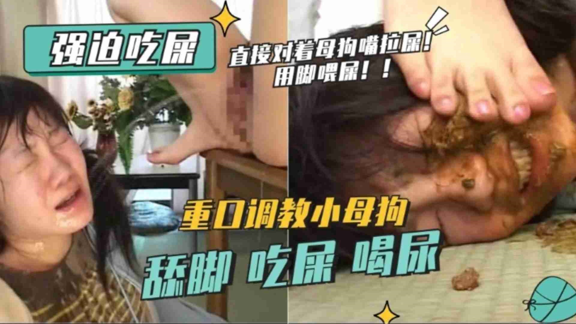 重口系列-强迫吃屎 重口调教小母狗封面图