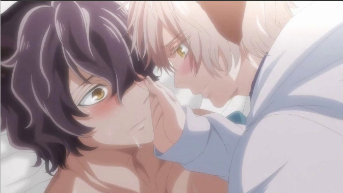 森林里的熊先生封面图