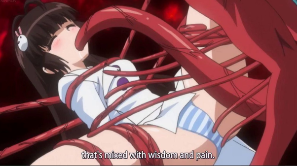 魍魉的祭品封面图