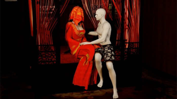 VAM ［完美世界］柳神配音 新婚之夜封面图