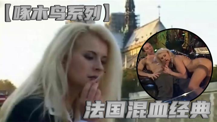 啄木鸟系列法国混血经典封面图