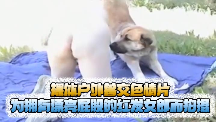 猎奇裸体户外兽交色情片为拥有漂亮屁股的红发女郎而拍摄封面图