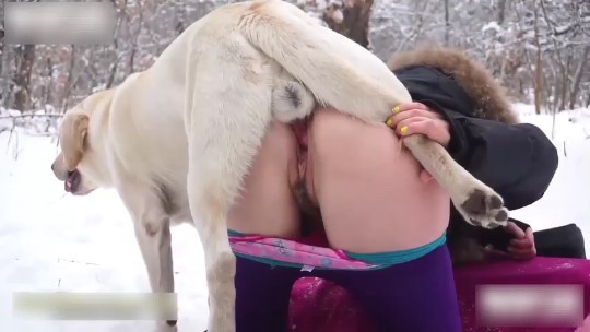 美女冰天雪地里与公狗交配#性交#狗狗封面图