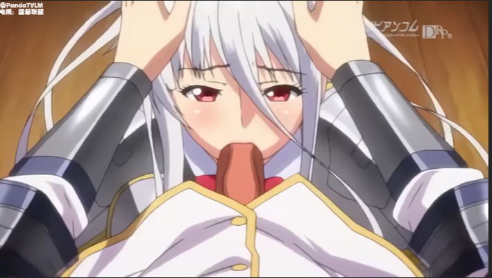 圣布伦希尔特学园少女骑士团与纯白的内裤_少女骑士的成论_中文字幕封面图