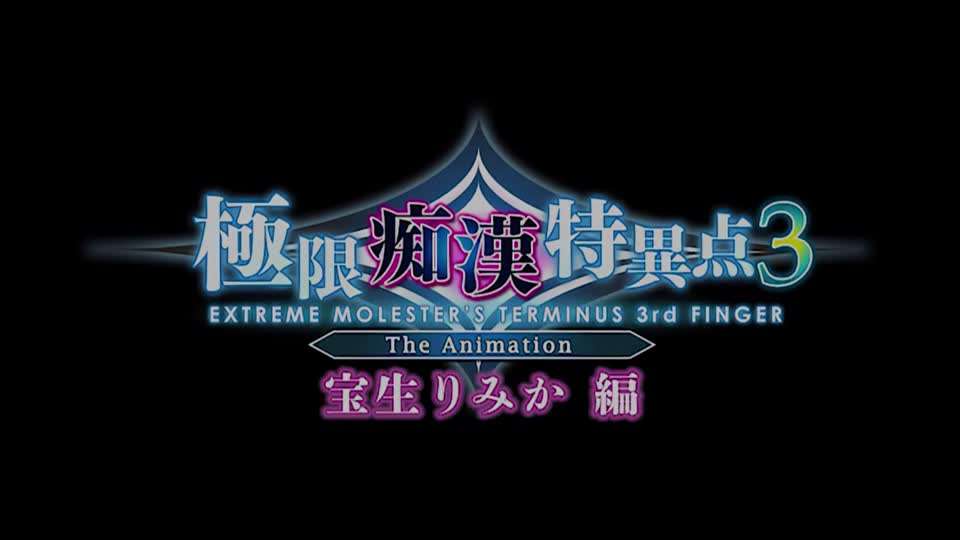 里番极限痴汉特异点3封面图