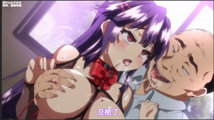 千鹤酱的开发日记_全集_一口气看完_中文字幕_沦为母狗_胁迫封面图