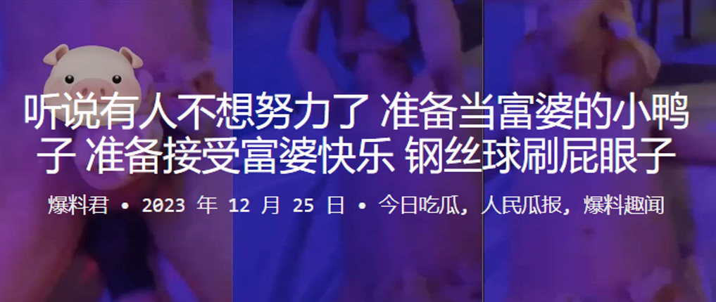 听说有.人不想努.力了准备当.富婆的小.鸭子准备接.受富婆.快乐钢丝球.刷屁眼子封面图